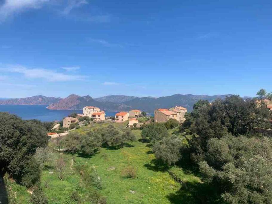 Appartement De Standing Piana Piana  Exterior photo